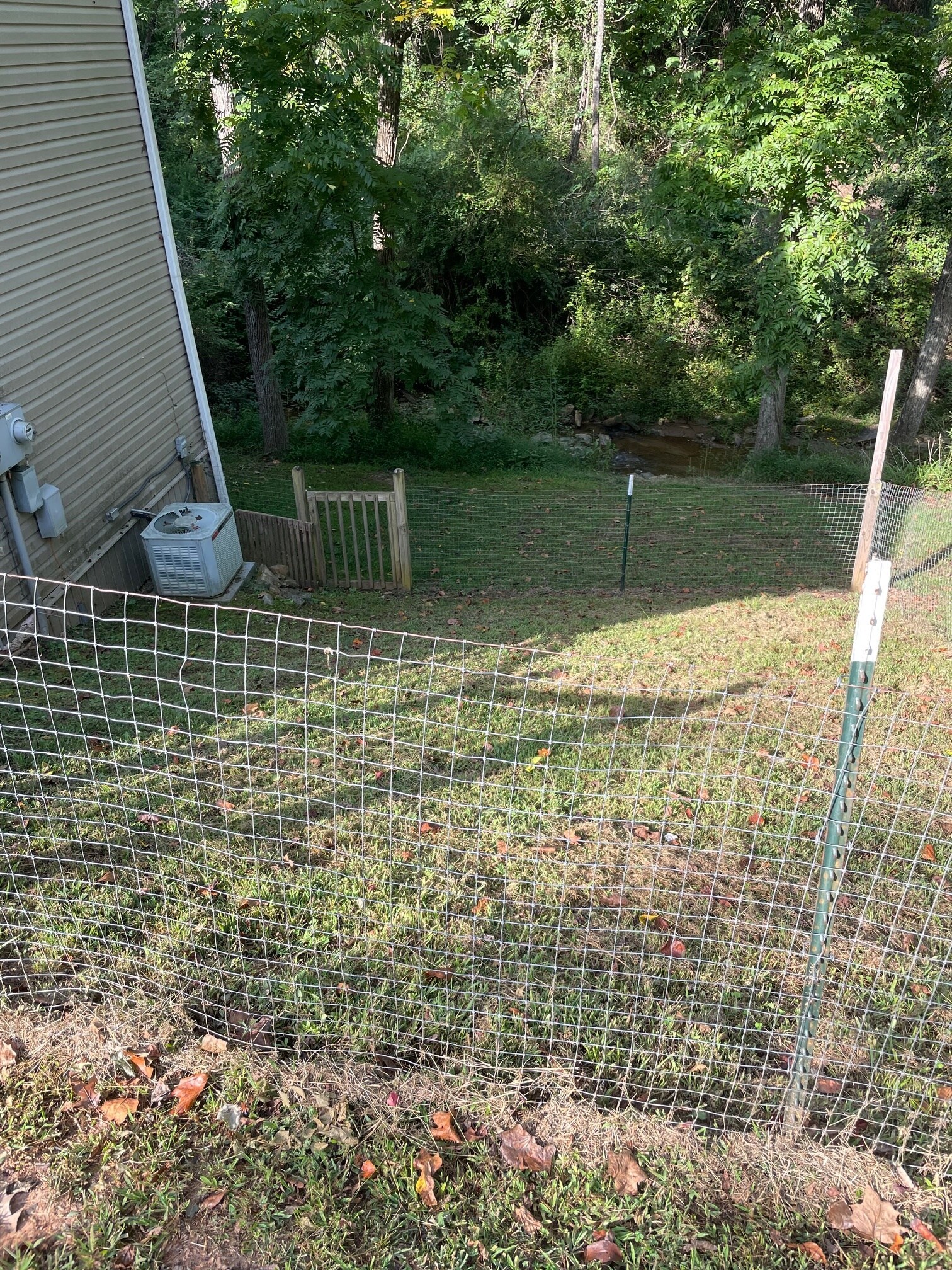 Fenced Pet Area - 222 New Stock Rd