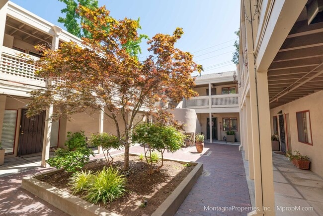 Primary Photo - Amazing Downtown Los Gatos Location * One ...