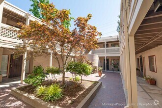 Building Photo - Amazing Downtown Los Gatos Location * One ...