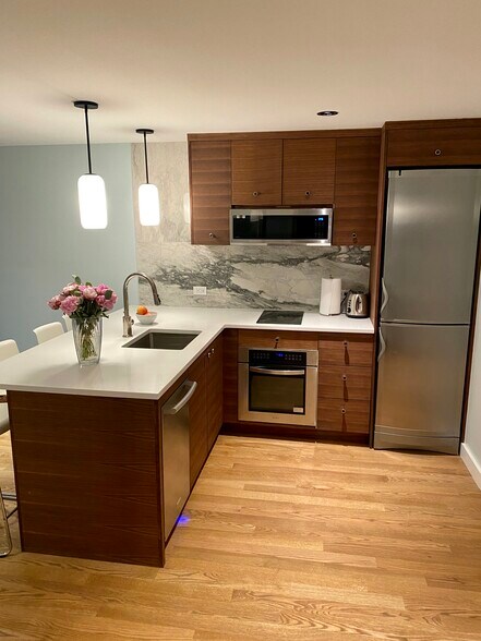 Induction cooktop. - 19 Conselyea St
