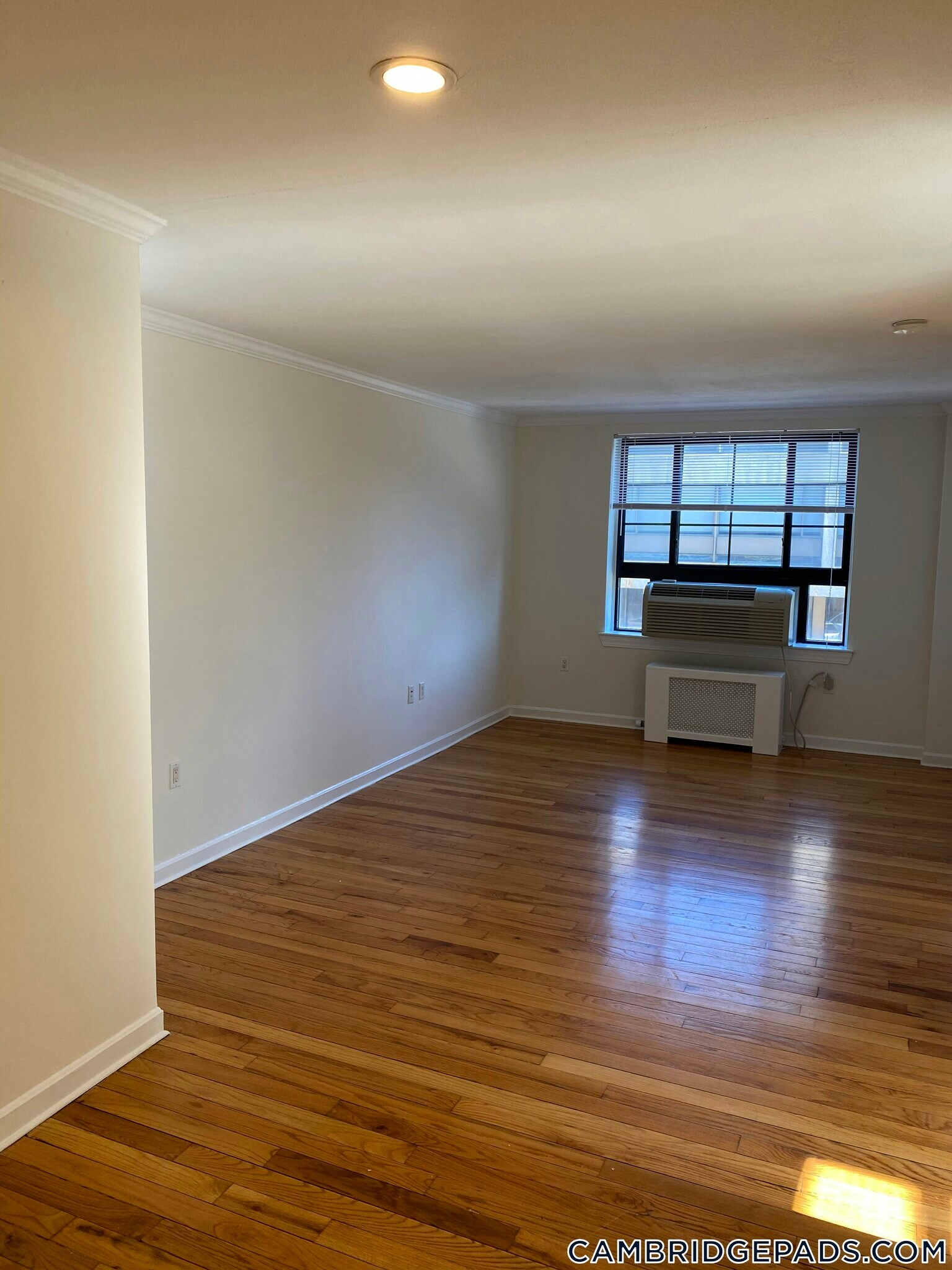 Building Photo - 60 Brattle St