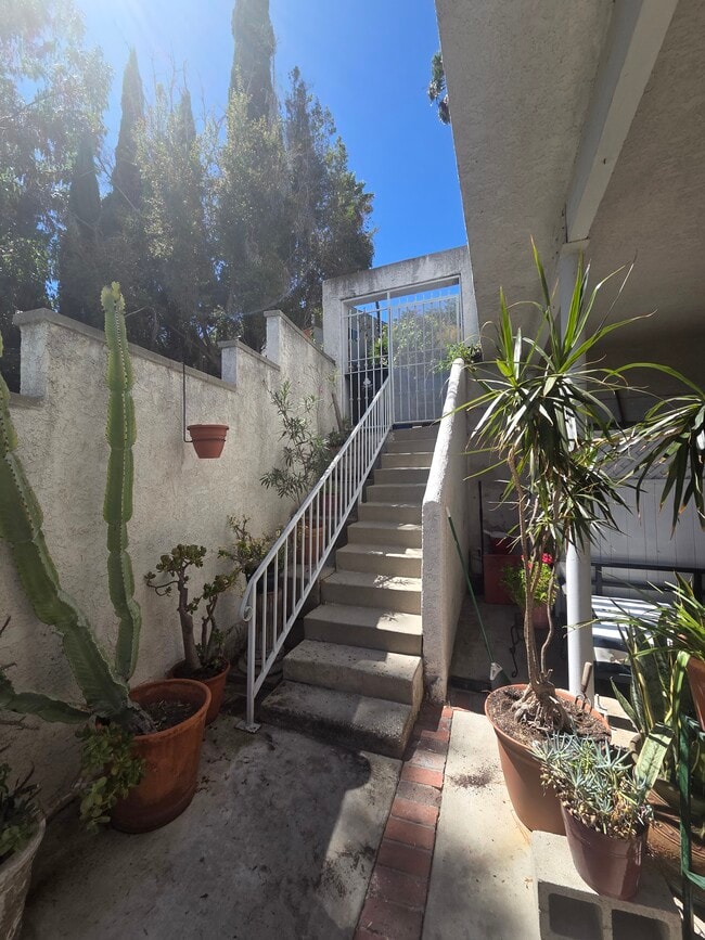Building Photo - 908 Robinson St