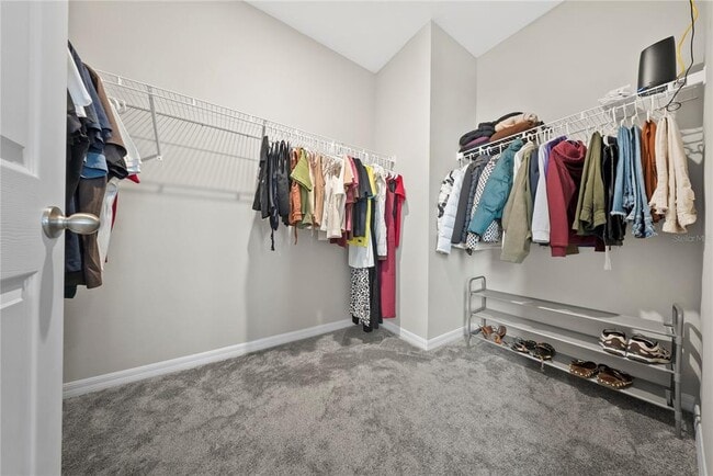 Building Photo - 5133 Citrus Leaf Blvd