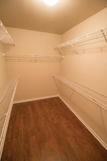 Building Photo - 2604 Mistywood Ct