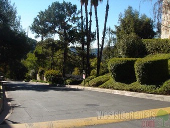 driveway in complex - 1935 Alpha Rd