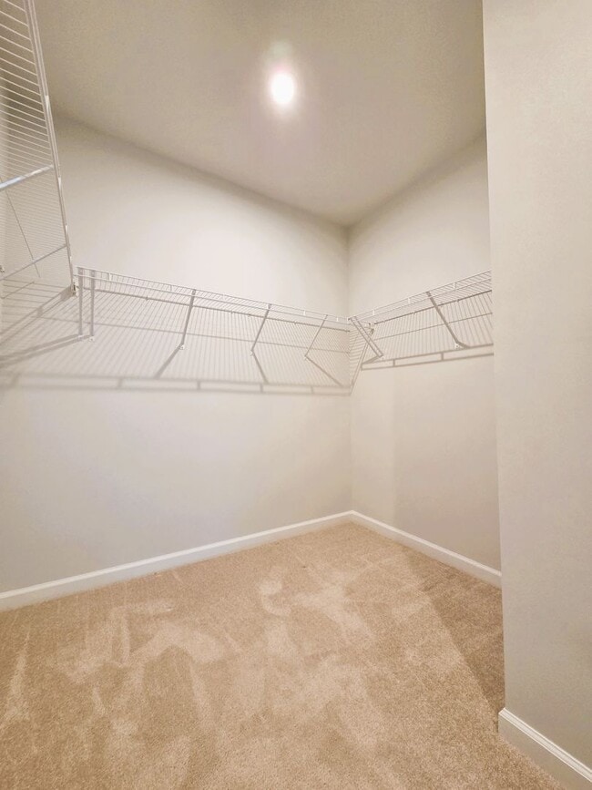 Building Photo - Newer ground level condo in Coalfield Station located in highly desireable Midlothian.