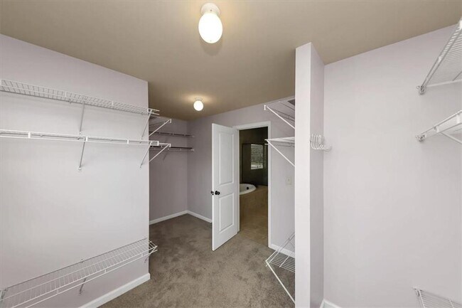 Building Photo - 6059 Cove Park Dr