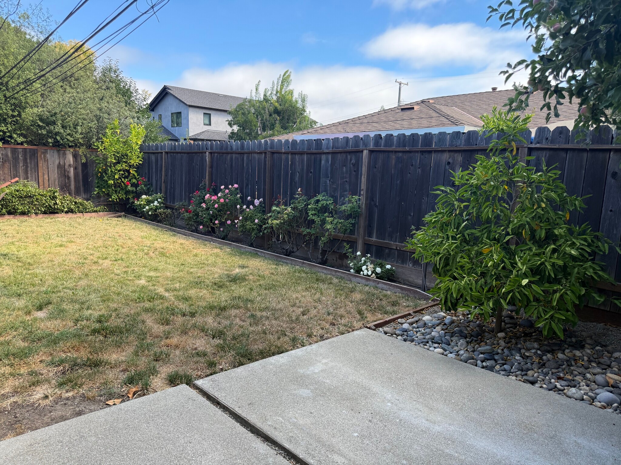 Building Photo - 1153 Sanchez Way
