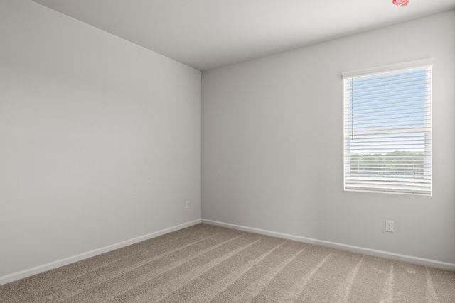 Building Photo - 712 Hedwig Dr
