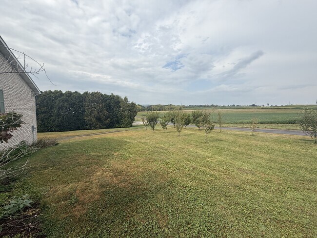 Building Photo - 157 Shade Rd