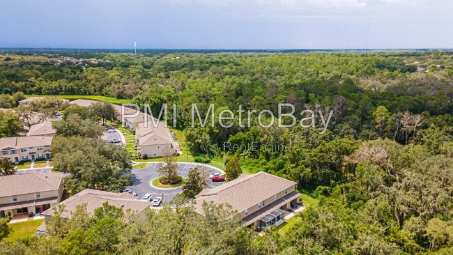 Building Photo - 15706 Fishhawk Falls Dr