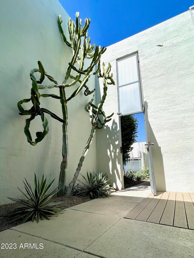 Building Photo - 3265 E Camelback Rd