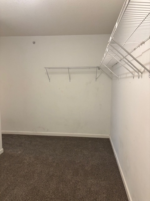 Building Photo - 28825 Cullen Dr