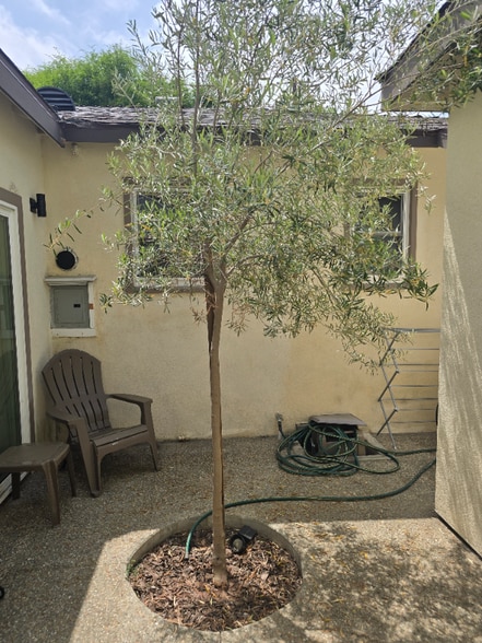 Building Photo - 212 Michael Ave