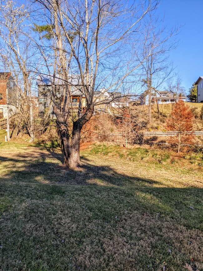 Building Photo - Beautiful Asheville Rental in the Malvern Hills Neighborhood!