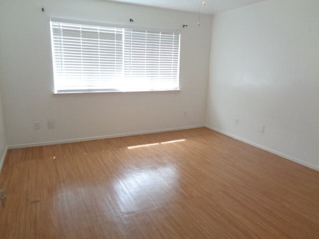 Building Photo - 11310 Chelsea Walk Dr