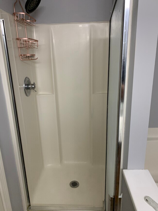 Primary Bath Shower - 7895 Trumpetvine Ln