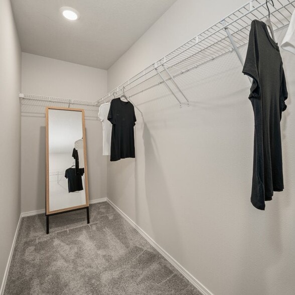 Huge master closet - 130 E Spirea Ln