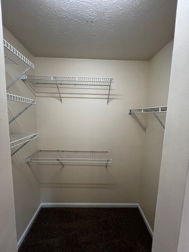 Building Photo - 1031 Ancestry Dr