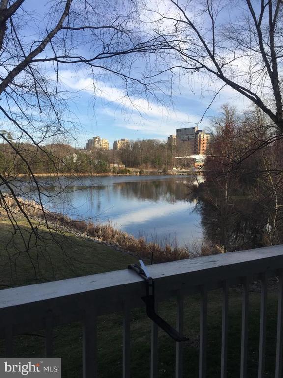 Building Photo - 1708 Lake Shore Crest Dr