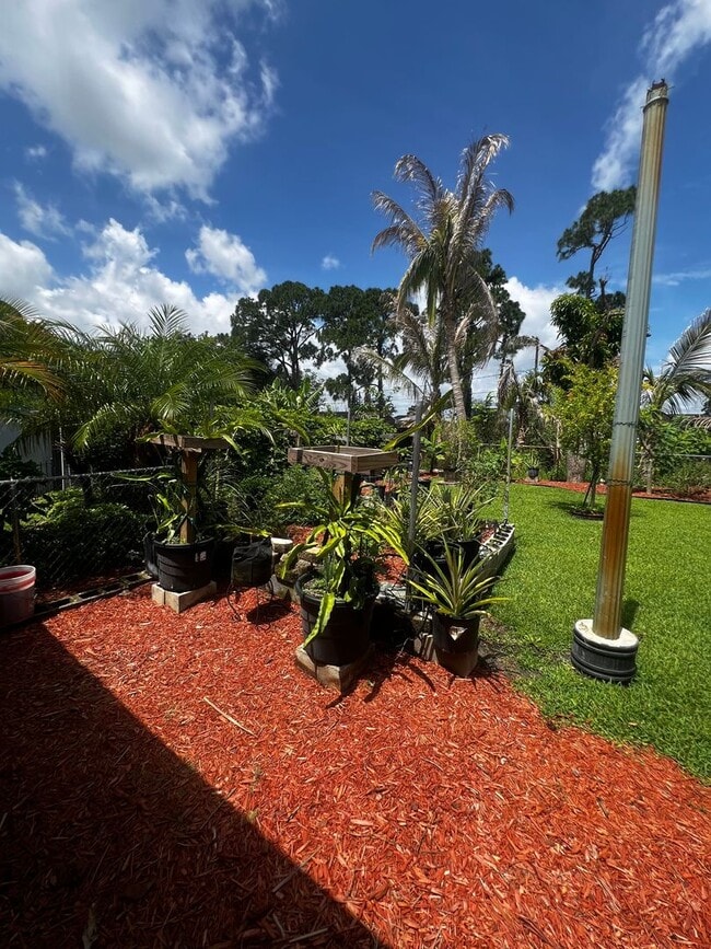 Building Photo - 3 BEDROOM 2 BATH CONVENIENTLY LOCATED WITH A TROPICAL OASIS IN THE BACK YARD!