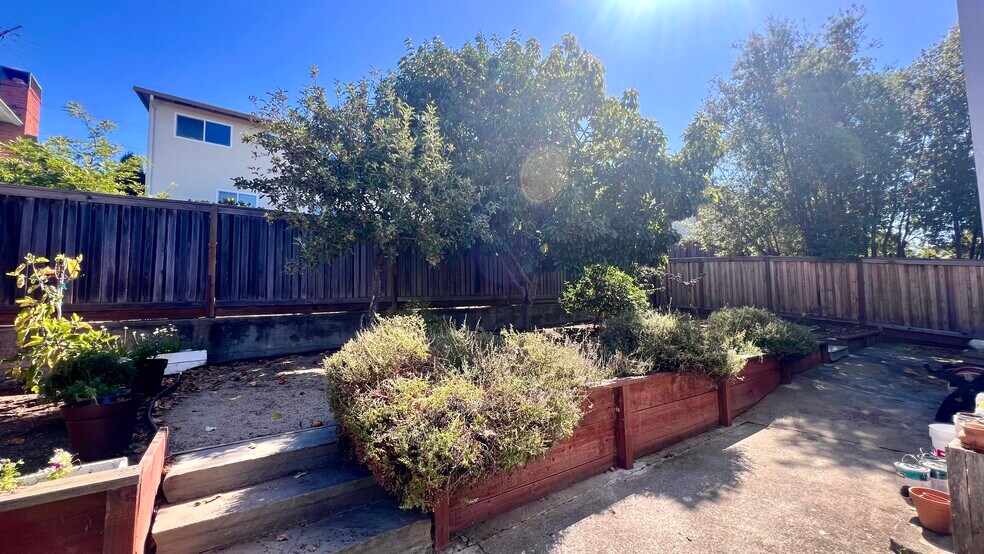 Backyard - 946 Sonoma St