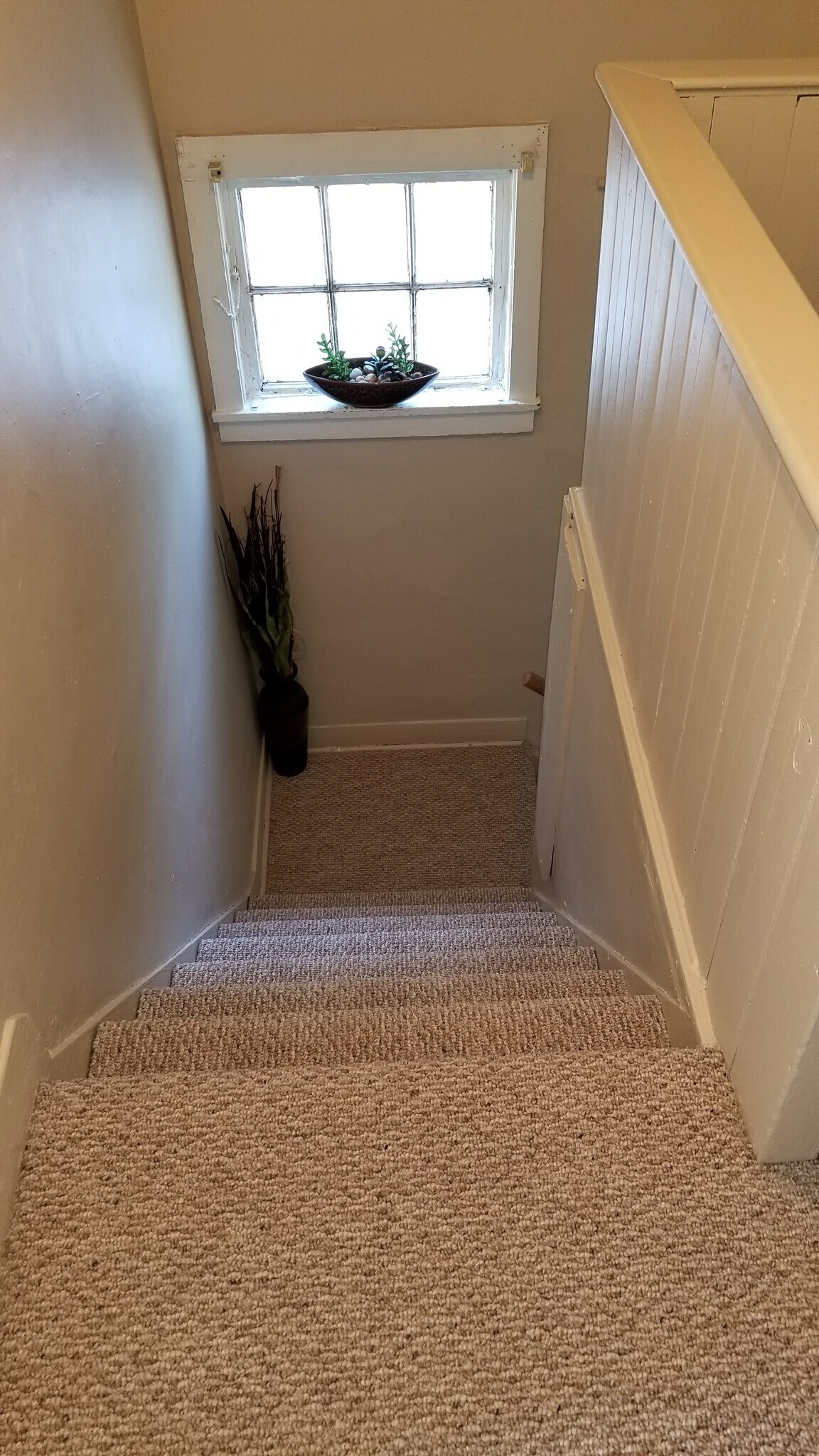 Building Photo - 117 Clapp St