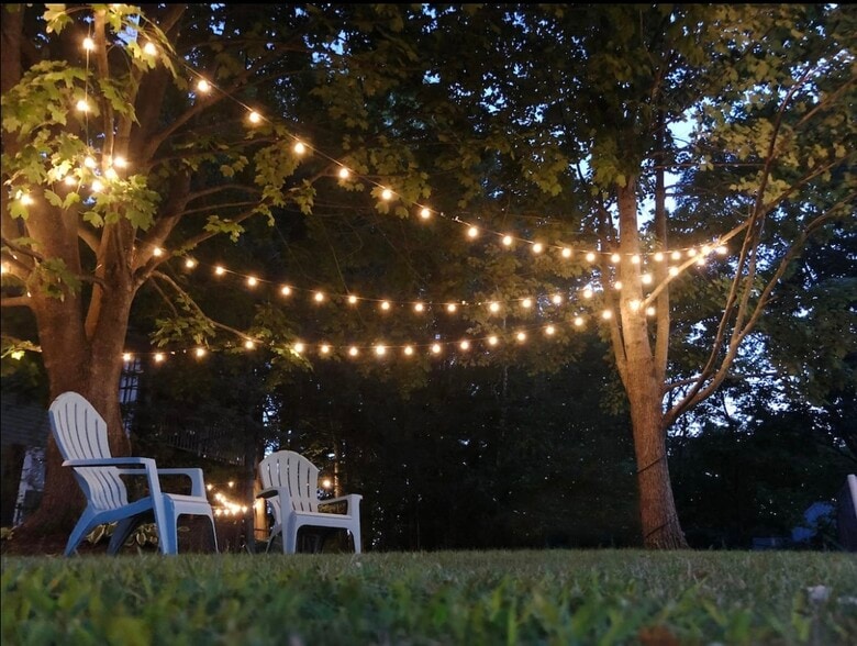 Building Photo - 184 Thornton St