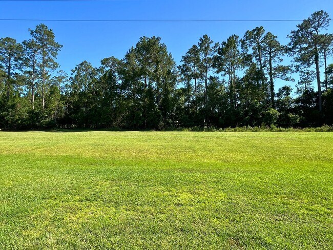 Building Photo - Rare find! 4/2 in Laurel Island