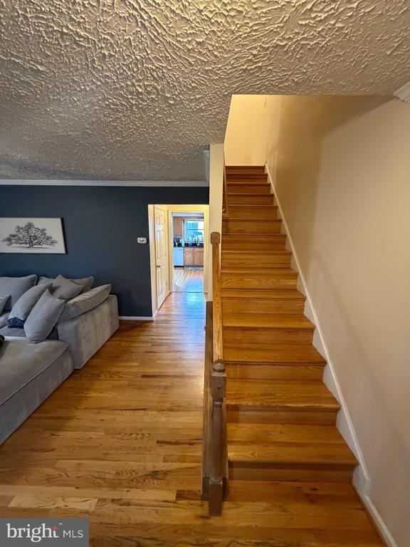 Building Photo - 281 Tall Oak Dr