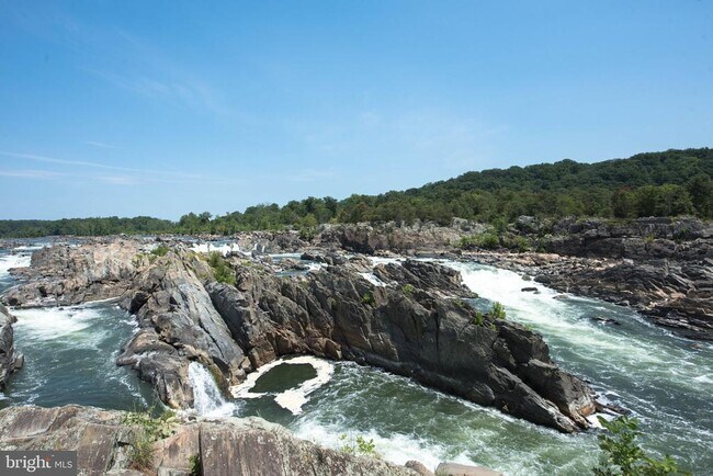 Building Photo - 11922 Holly Spring Dr