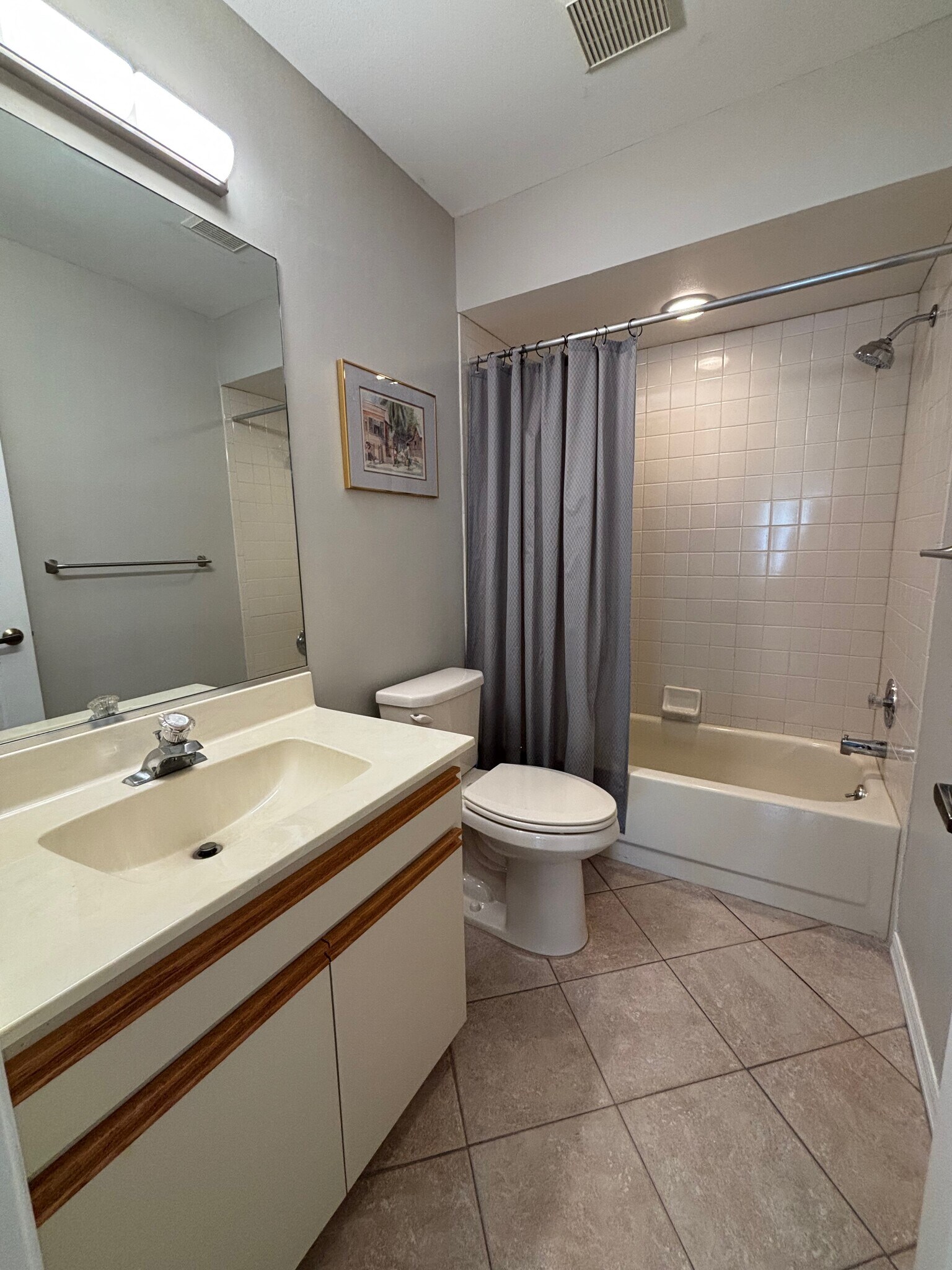 Guest Bathroom - 5699 Sheffield Greene Cir