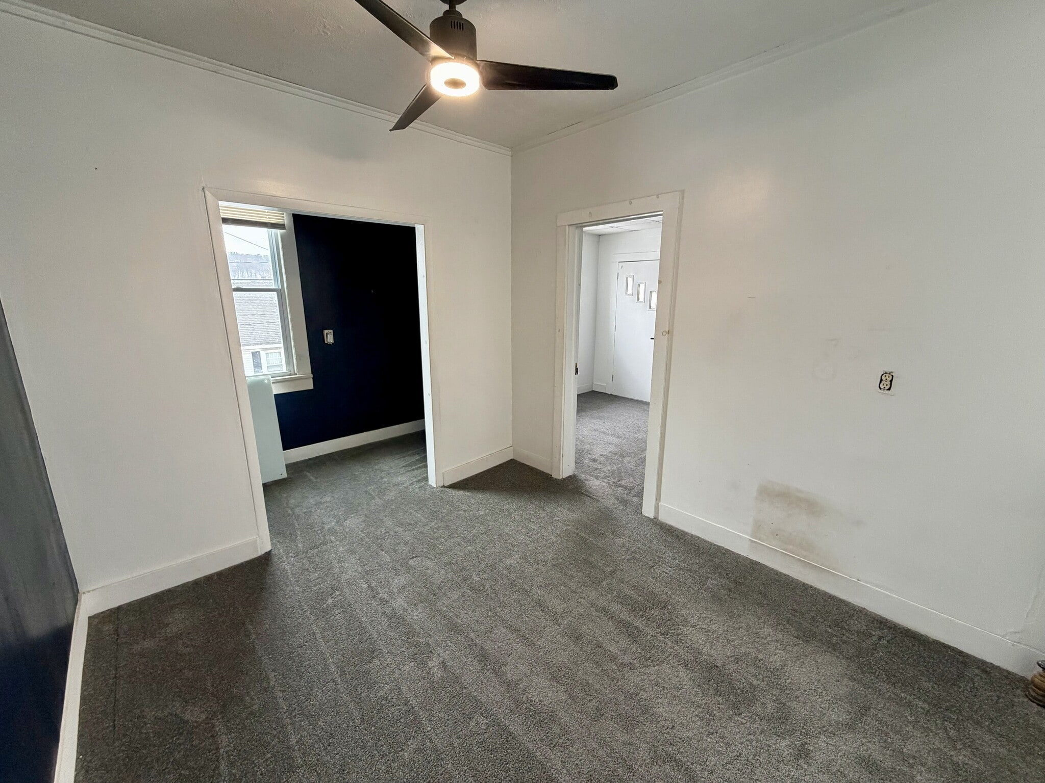 Building Photo - 1728 Ash St