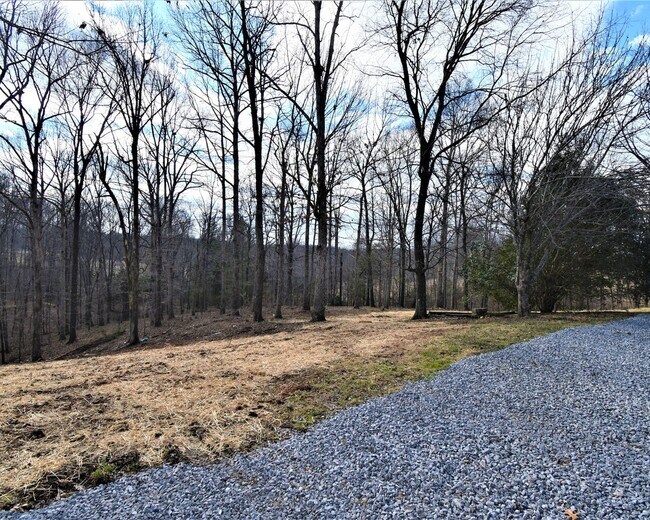 Building Photo - 3 Bedroom Pet Friendly Home For Rent in Th...