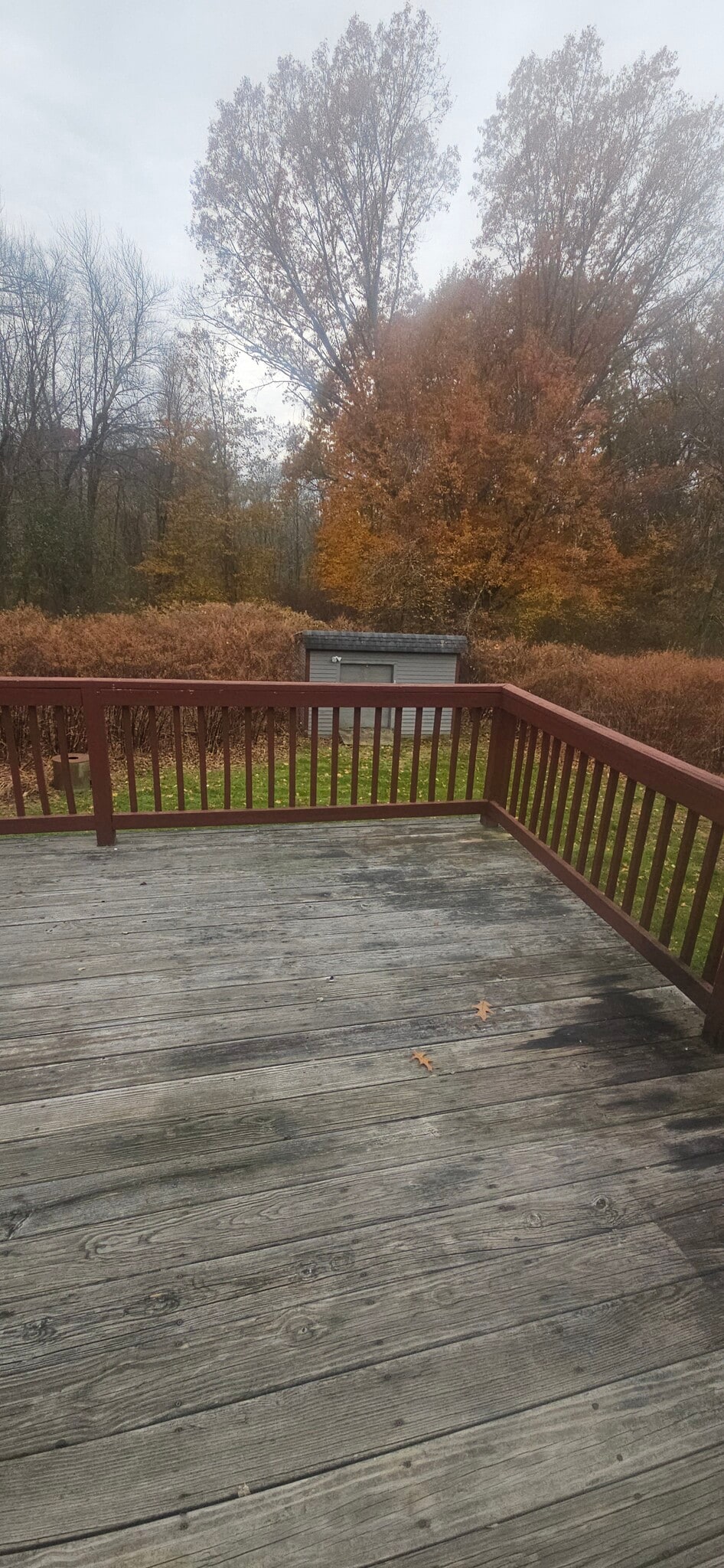 Large rear deck & Storage Shed - 143 Pollard St