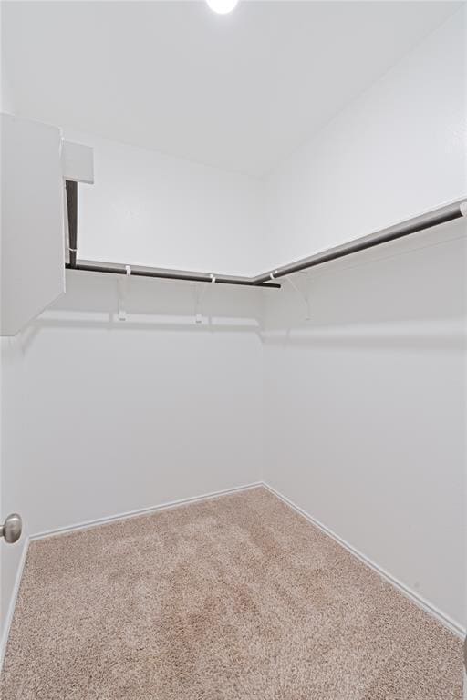 Building Photo - 2308 Nightview Dr