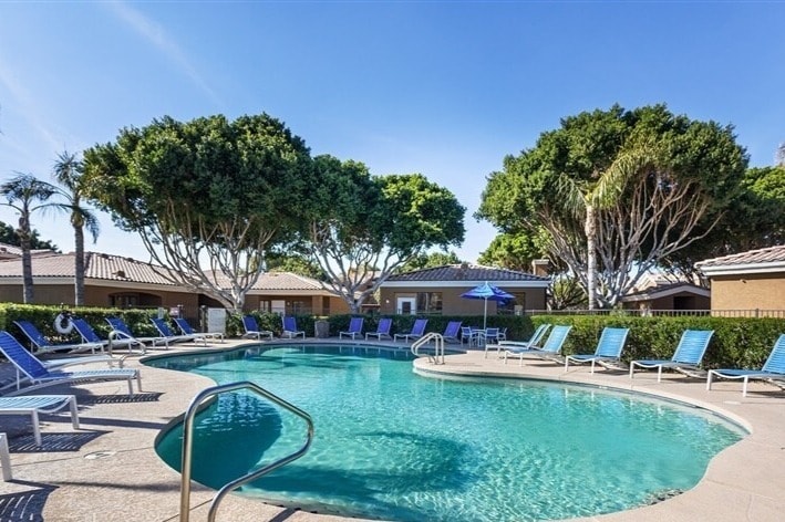 Primary Photo - The Cove Apartments