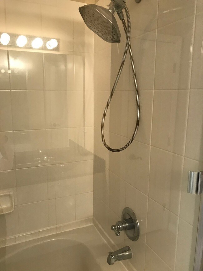 Building Photo - 629 Pinebranch Cir