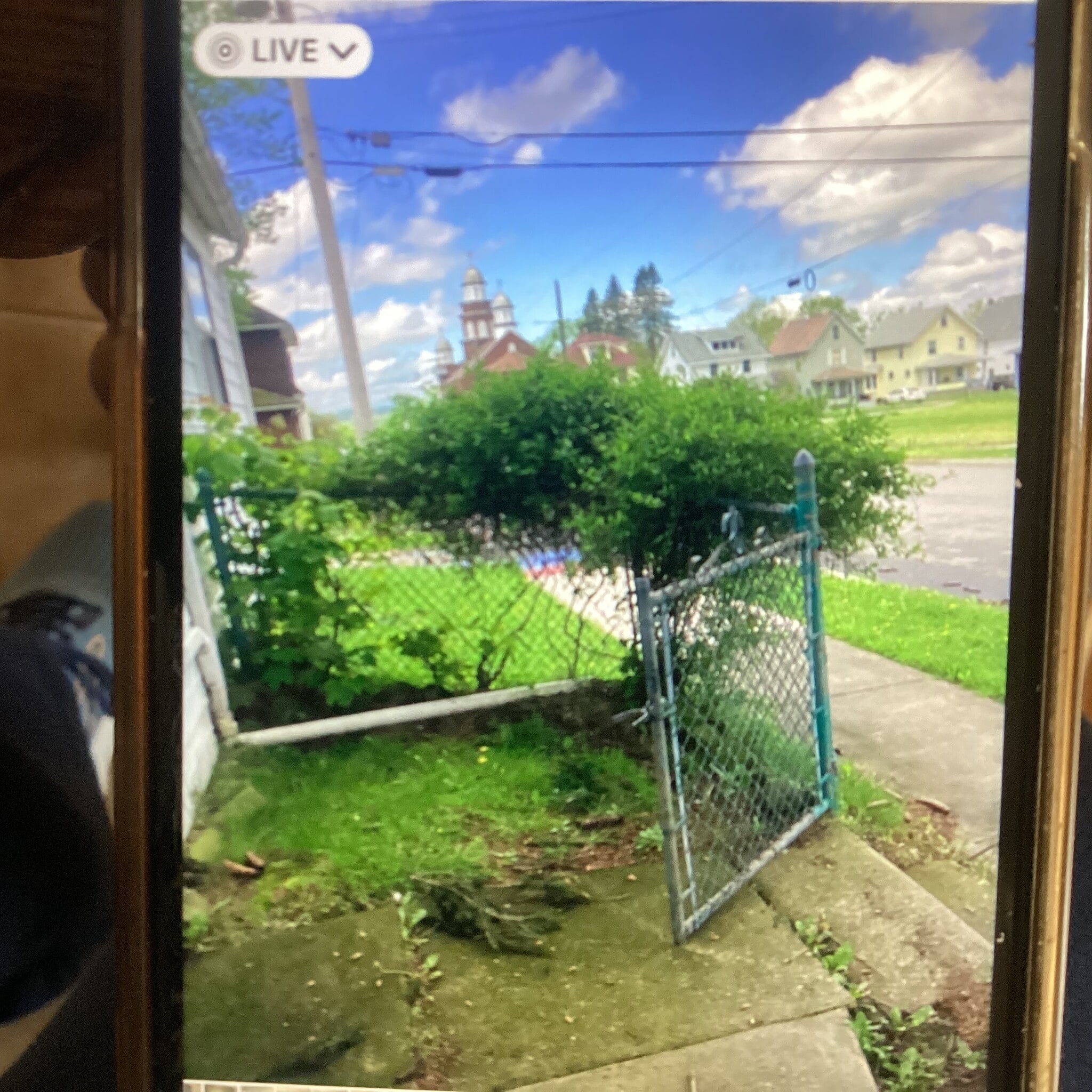 Fenced in yard - 762 Morrison St