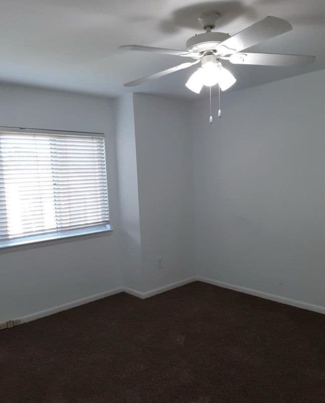 Building Photo - 2046 Lucas Ln