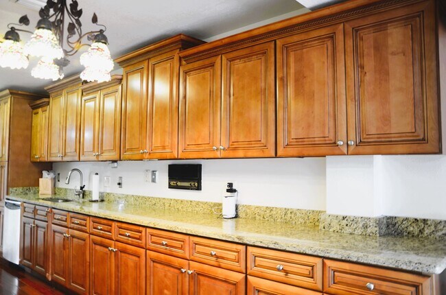 Building Photo - Spacious 4-Bed, 3-Bath Belle Isle Home wit...