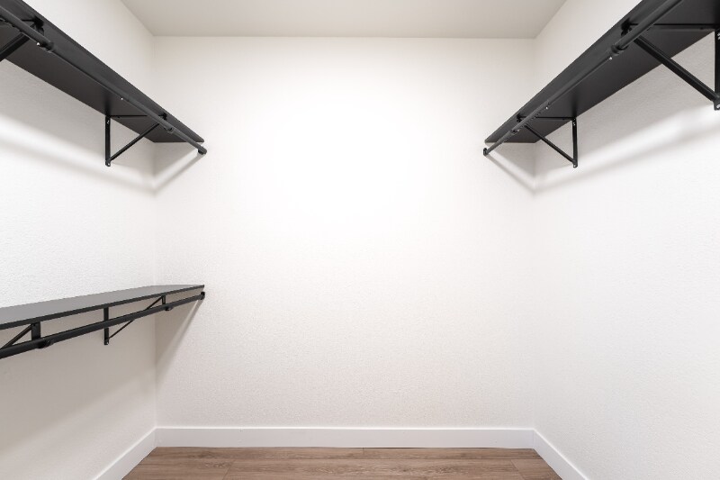 Building Photo - 2609 Autumn Blaze Ave