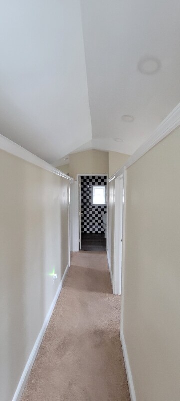 Building Photo - 513 Blue Eagle Ave