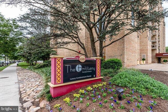Building Photo - 4500 S Four Mile Run Dr