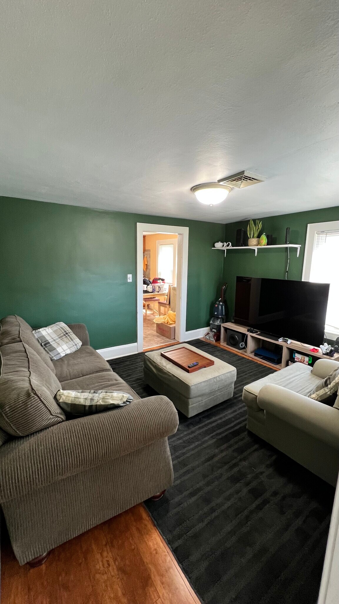 living room - 139 Hall Avenue