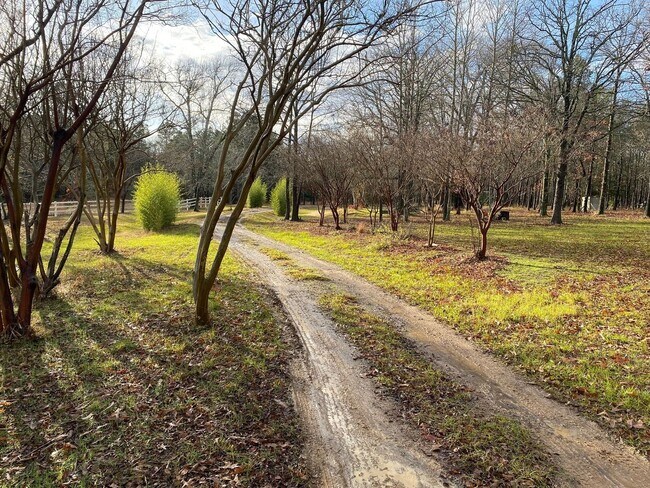 Building Photo - 9696 FM314