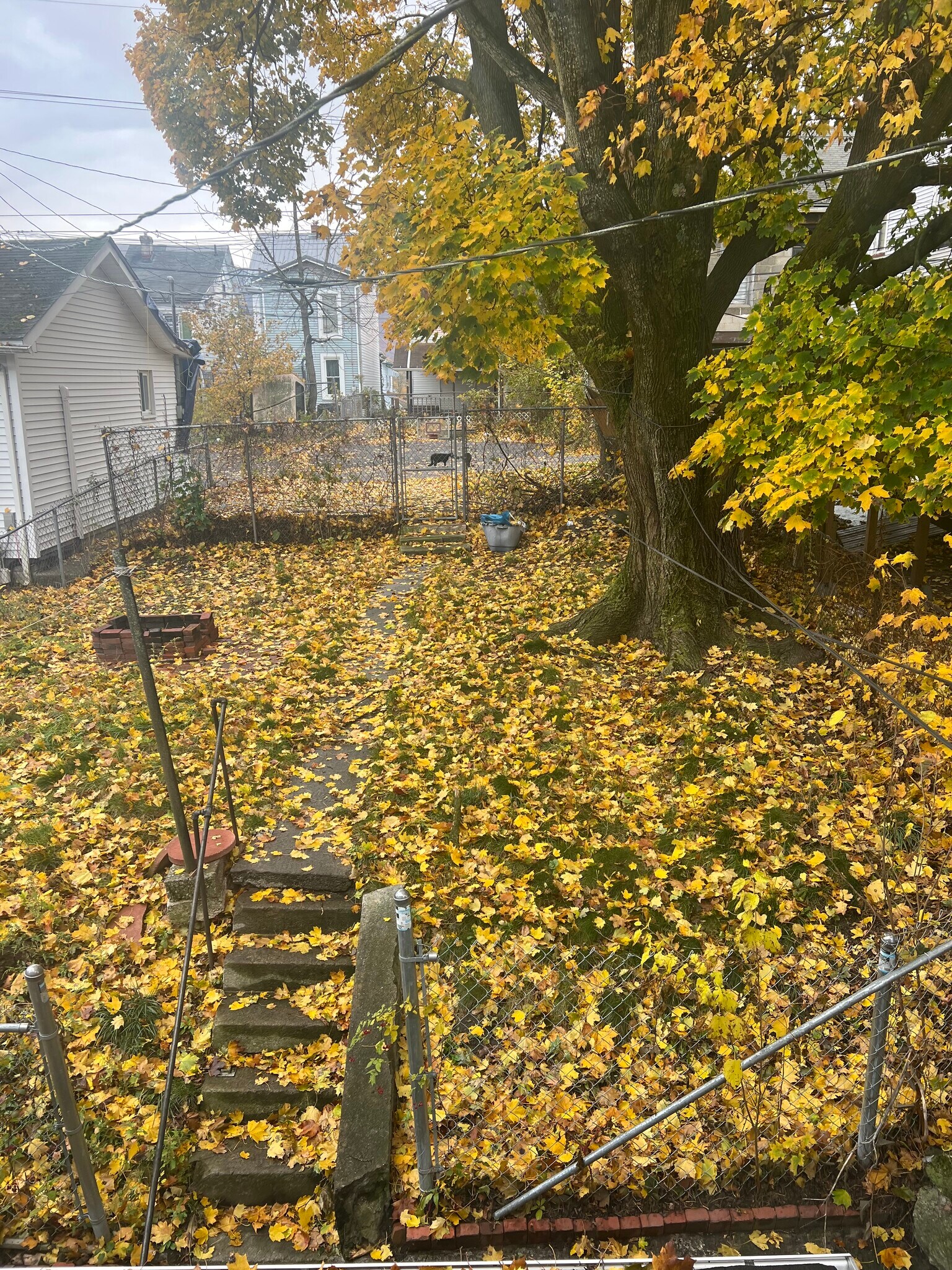 Building Photo - 823 1st Ave