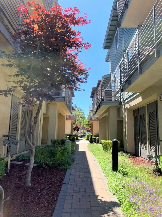 Building Photo - Beautiful 3 bedroom, 3 bath Condo in prime San Jose Location