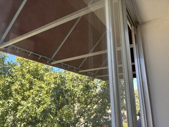 Building Photo - 2909 Albany St