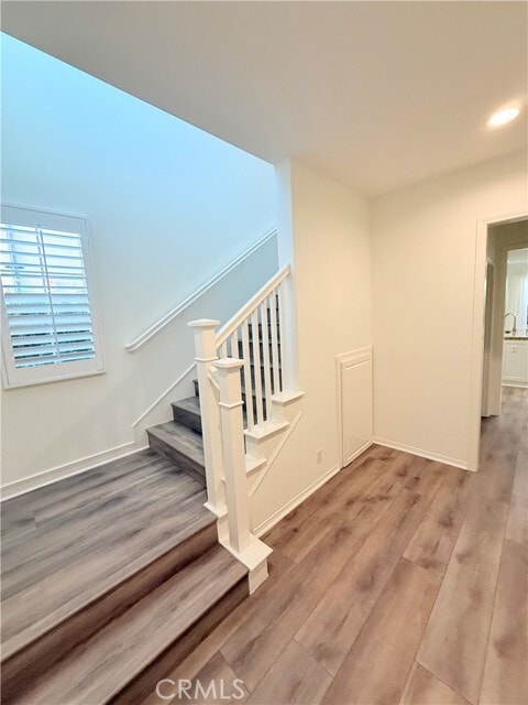 Building Photo - 53 Rockcress